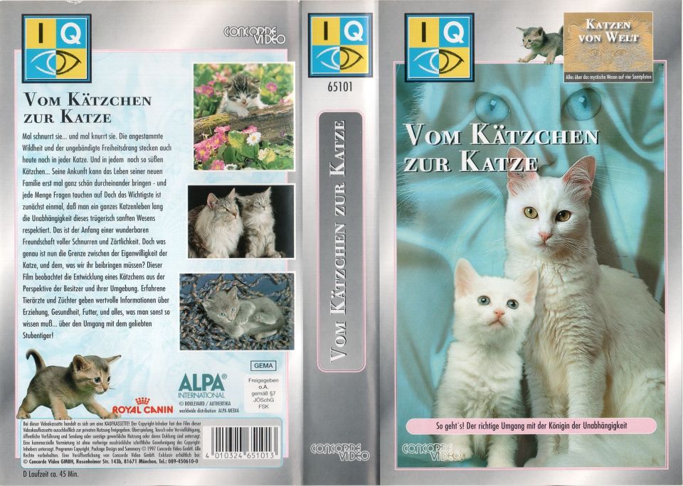 Katzen von Welt Vom Kätzchen zur Katze VHS Cover